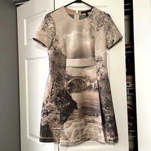 Bcbgmaxazria brinley dress